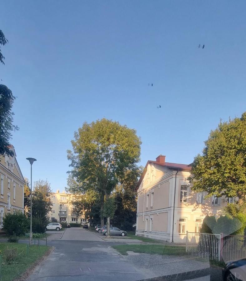 Apartament Kresowy Parter 3 Pokoje Duza Lazienka Kabino-Wanna Spa Wi Fi Ekspres 2X Smart Tv Antresola Parking Free Plac Zabaw Bilet Na Aquapark 150M W Cenie Hrubieszow Esterno foto